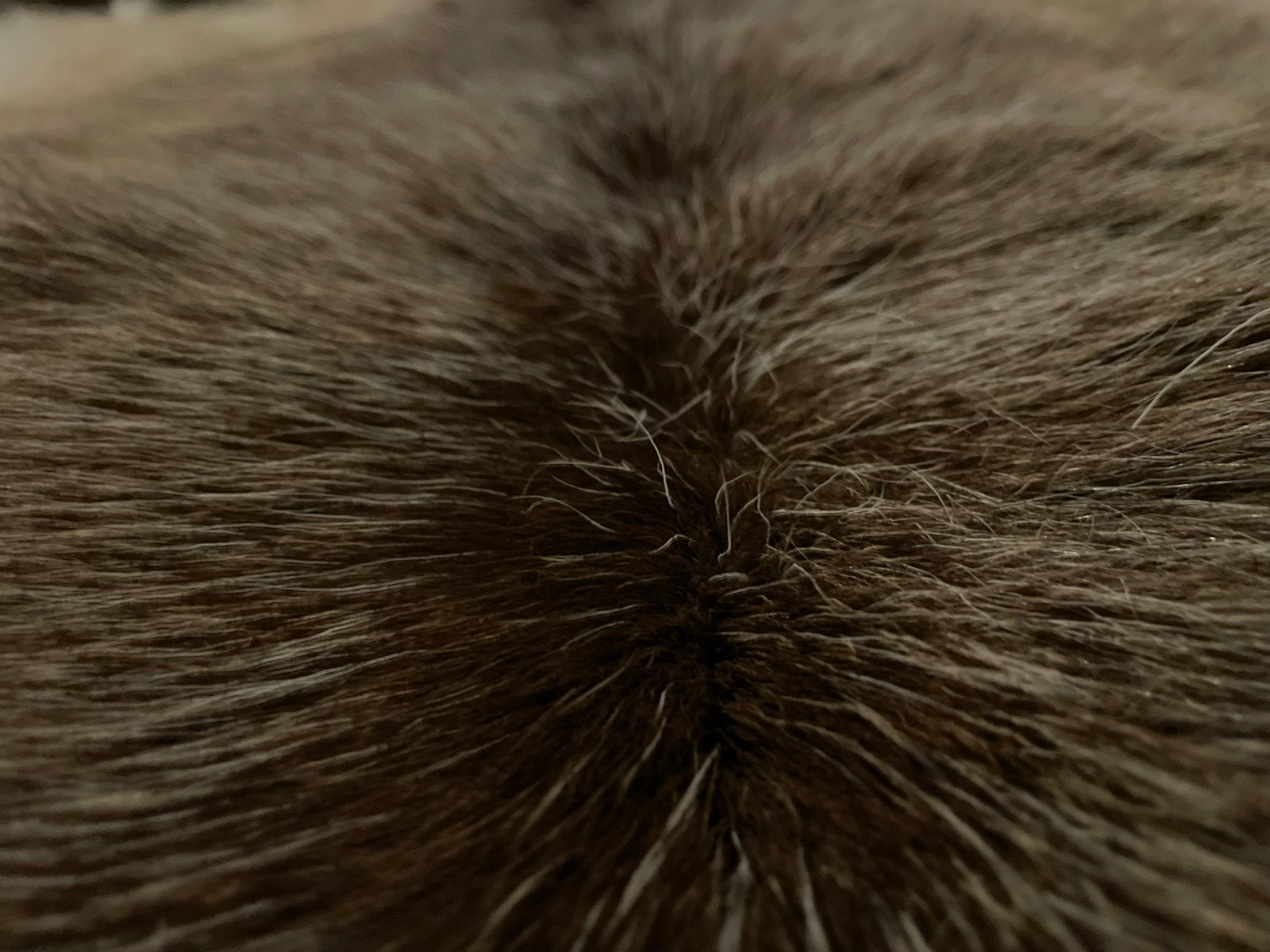 Echt rendieren kleed uit Lapland, 100 tot 150 cm, Bruin, Zo goed als nieuw, Overige vormen
