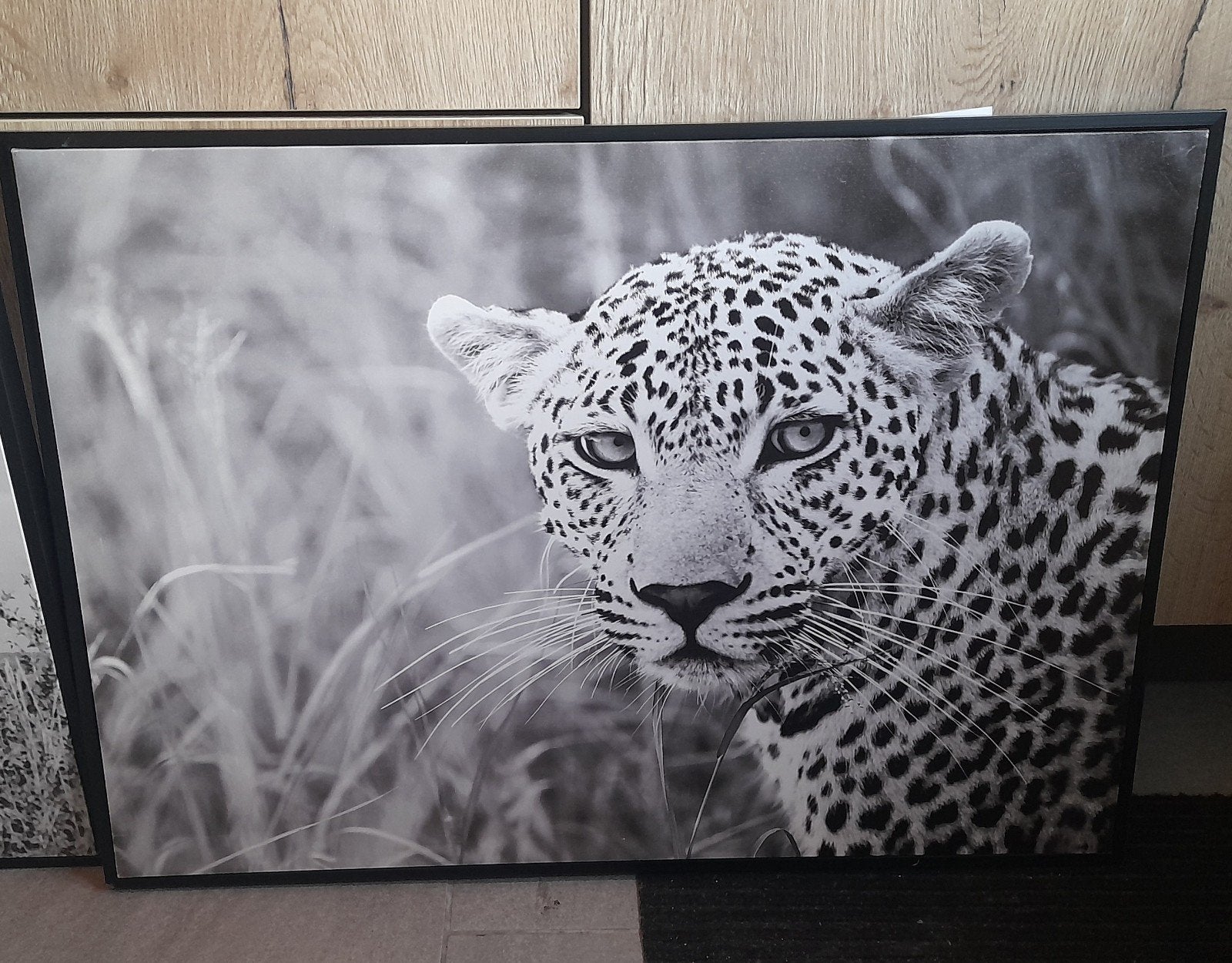 Prachtige zwart-wit schilderij canvas van luipaard, Ophalen, 50 – 75, Zo goed als nieuw, 75 tot 100 cm