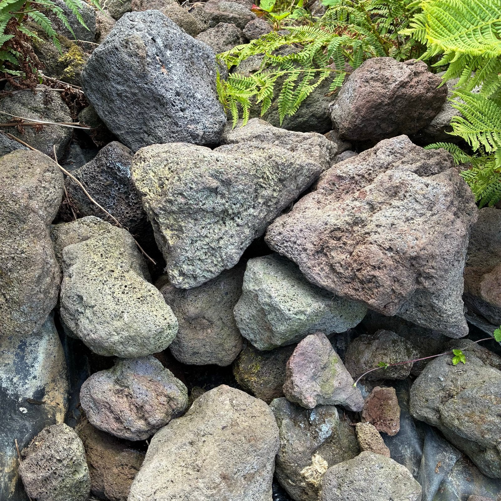 Vijverstenen - Natuurlijke decoratie voor uw vijver, Tuin en Terras, Vijvers, Ophalen of Verzenden, Gebruikt