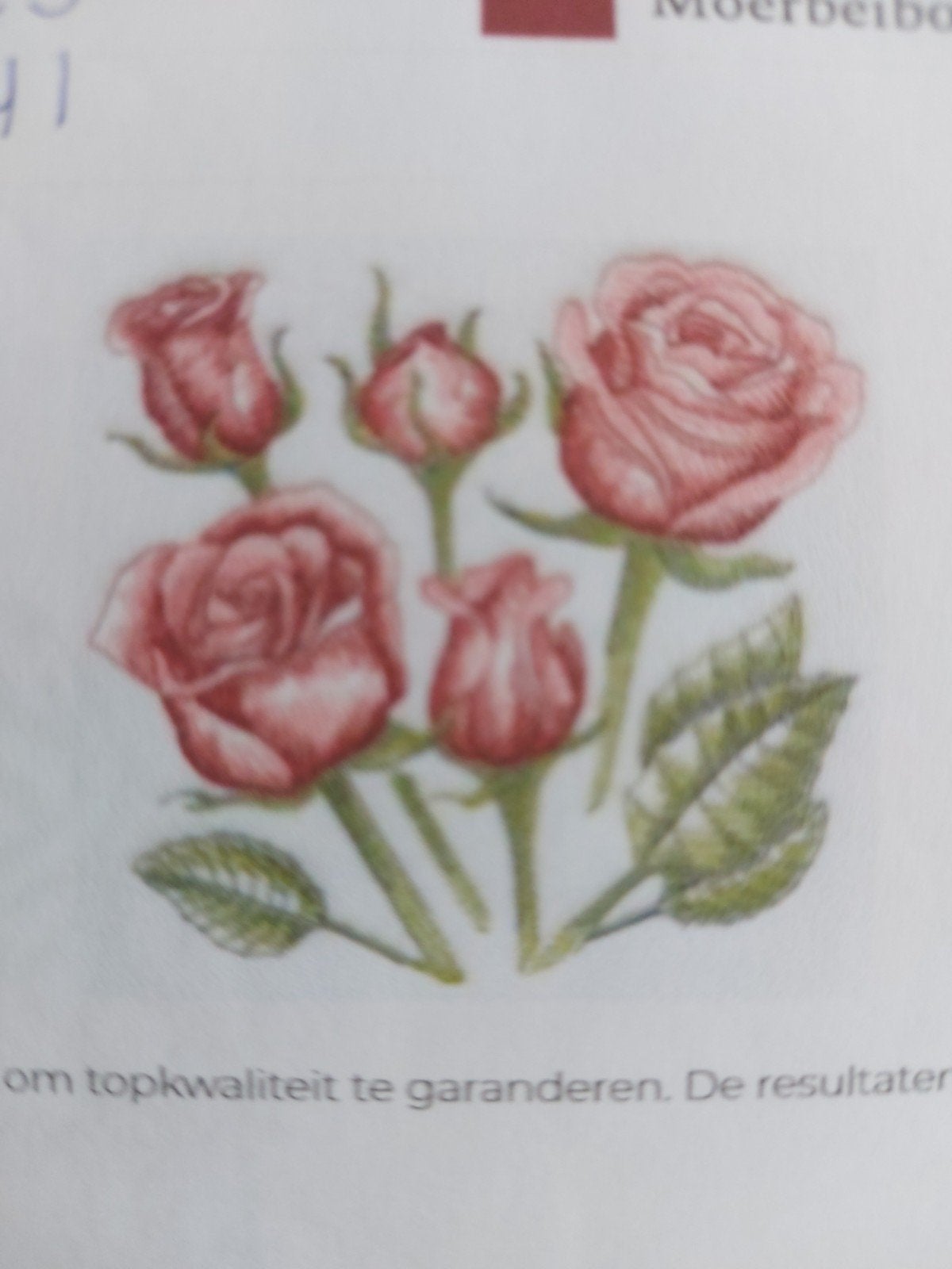Mooi geborduurde rozen op lapje stof 50x50cm, Hobby en Vrije tijd, Stoffen en Lappen, Ophalen of Verzenden, Nieuw