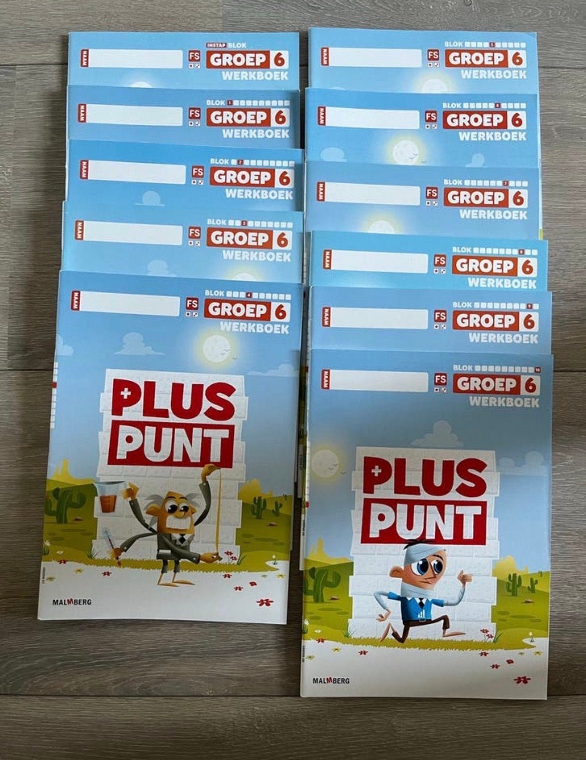 Rekenen Pluspunt Werkboeken Groep 6 nieuw!, Ophalen of Verzenden, Zo goed als nieuw, Overige niveaus, Overige vakken