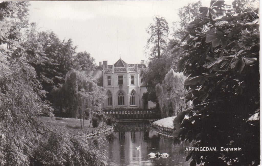 appingedam   ekenstein gracht met zwanen, Verzamelen, Ophalen of Verzenden, Voor 1920, Noord-Brabant