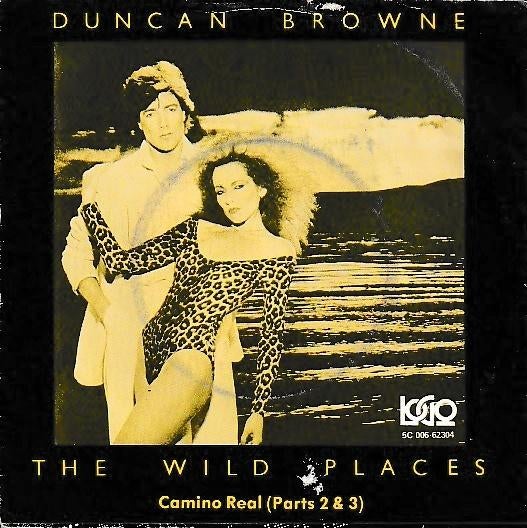 Duncan Browne - The wild places, Cd's en Dvd's, Gebruikt, 7 inch, Single, Ophalen of Verzenden