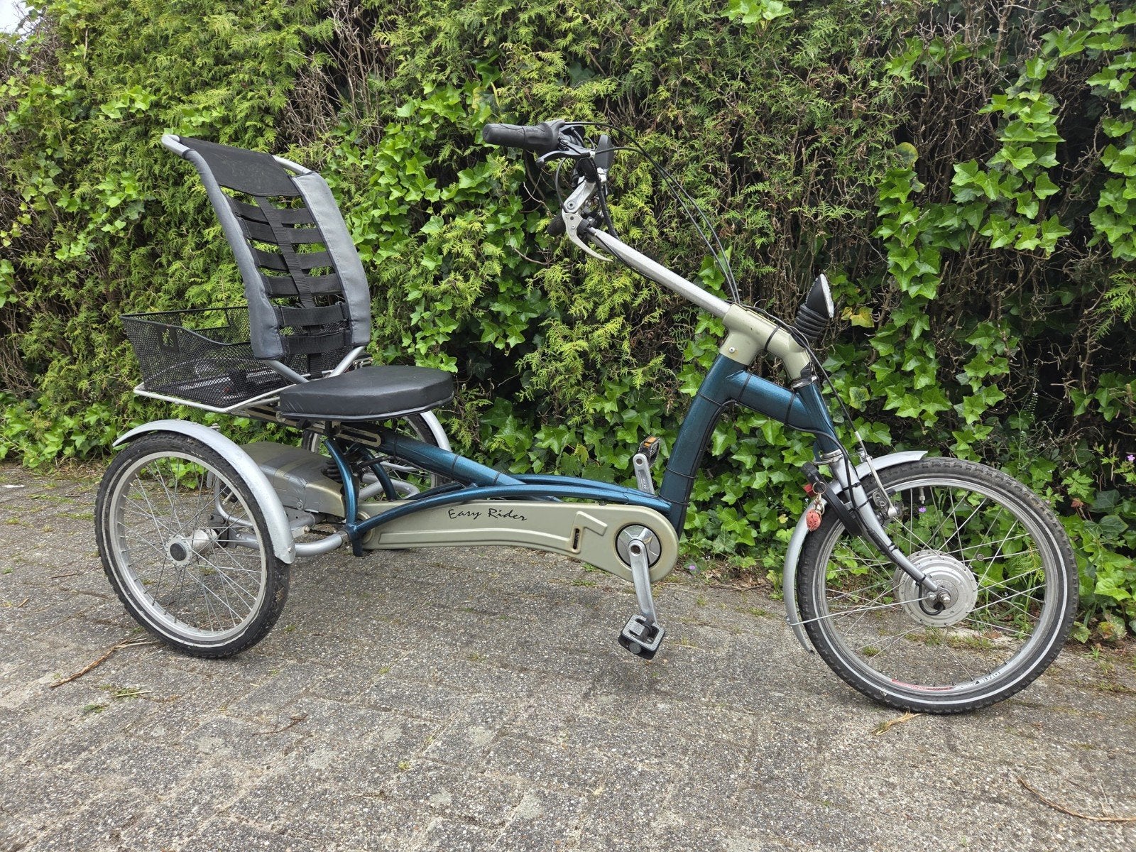 Driewielfiets Van Raam Easy Rider, Ophalen, Gebruikt, Van Raam Easy Rider
