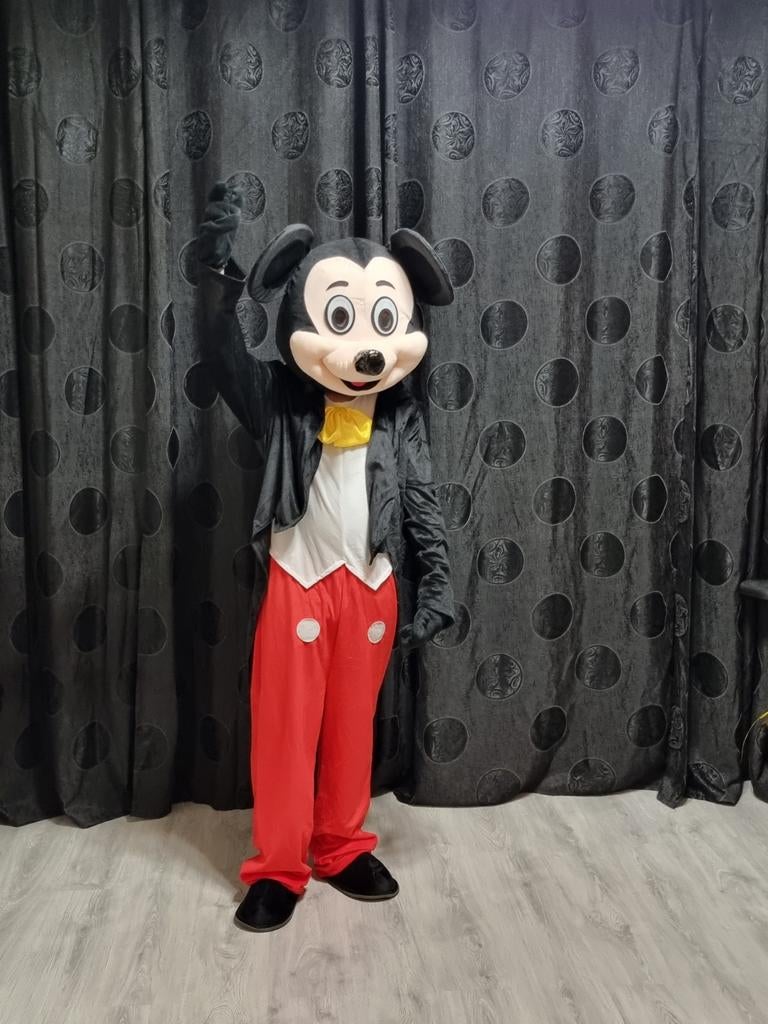 Te huur Mickey Mouse kostuum - Maat L, Ophalen of Verzenden, Zo goed als nieuw, Pak of Jurk