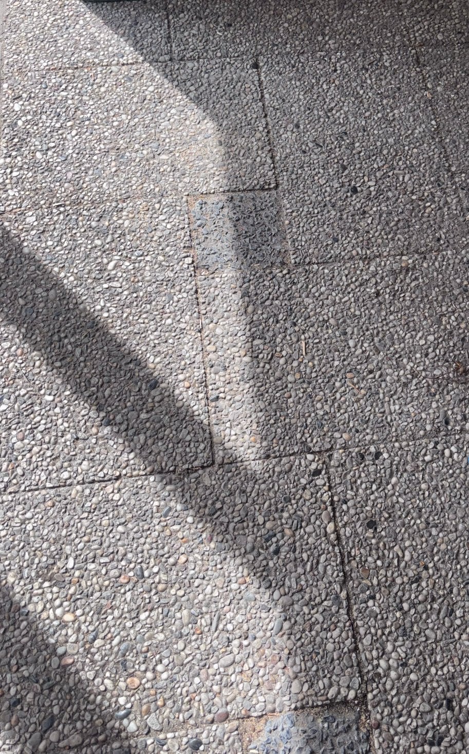 Gratis af te halen: Grindtegels van beton, Ophalen, Gebruikt, Beton, Terrastegels