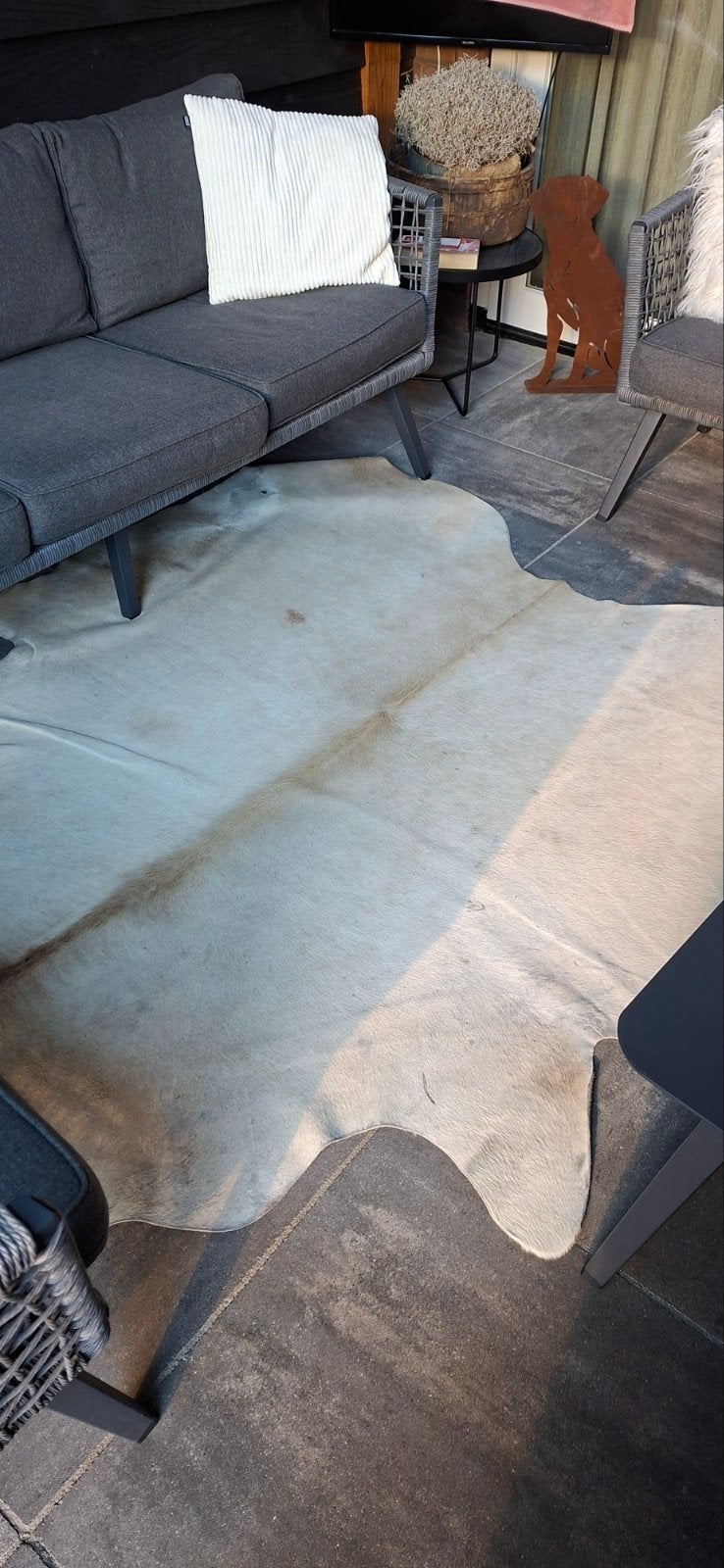 Prachtig koeienhuid vloerkleed - Crème/Beige, Ophalen, 100 tot 150 cm, Zo goed als nieuw, Beige