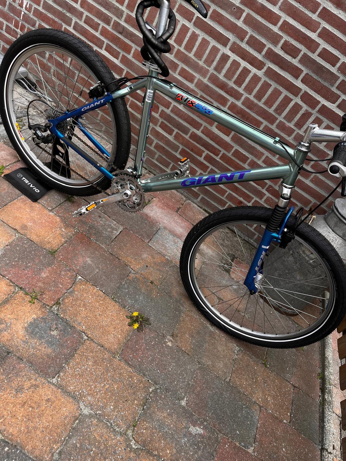 Giant mountainbike, Ophalen, Gebruikt, Giant, 53 tot 57 cm