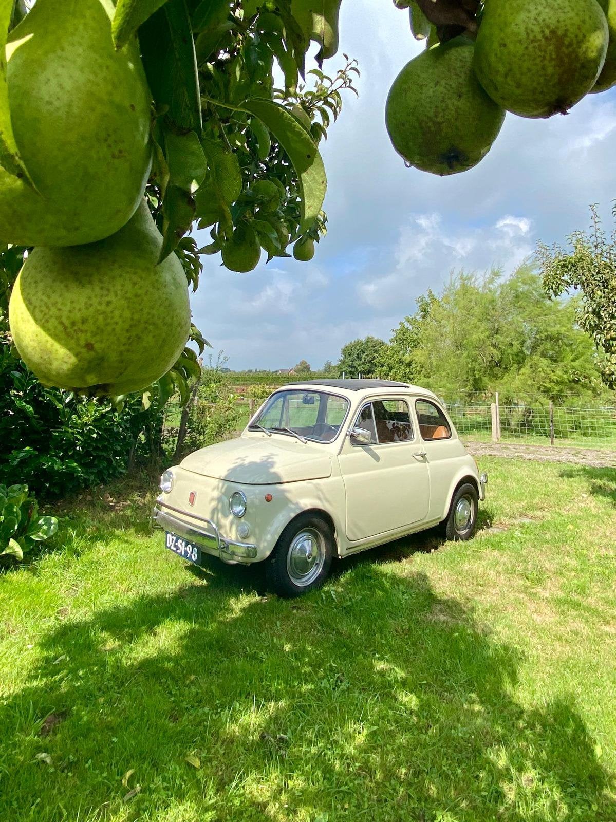 Fiat 500 oldtimer Crème, Auto's, Voorwielaandrijving, 594 cc, Wit, Bruin