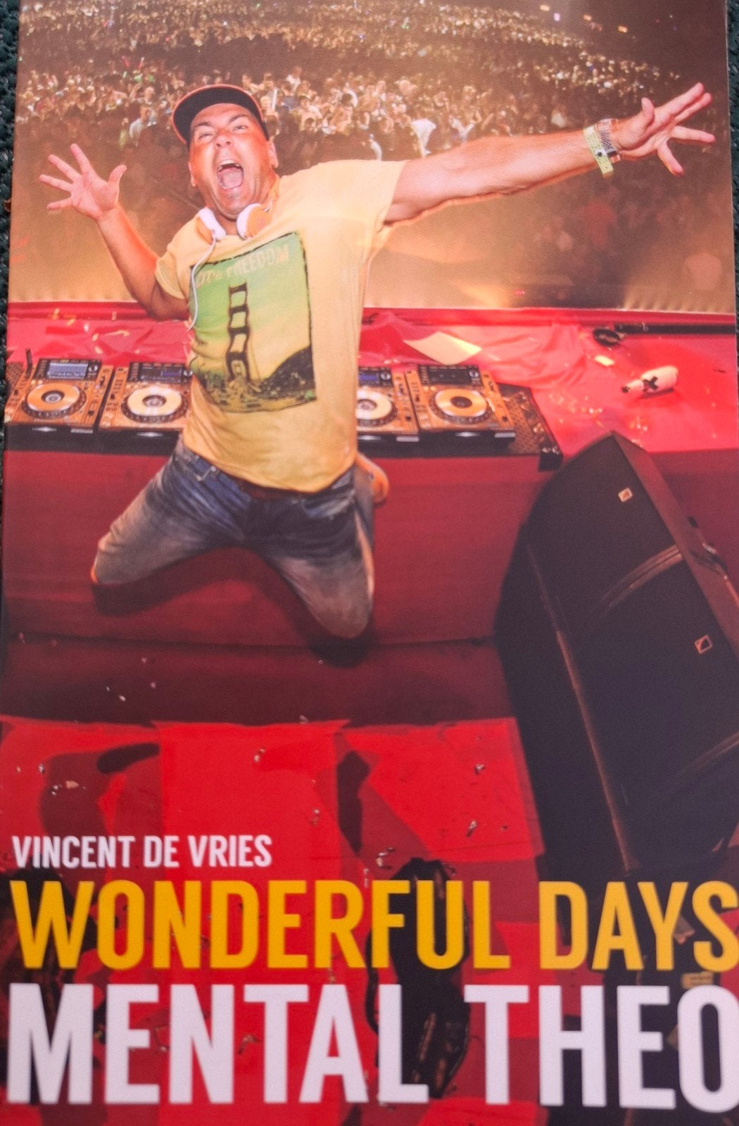 Wonderful Days Mental Theo - Vincent de Vries, Ophalen of Verzenden, Zo goed als nieuw, Vincent de Vries, Film, Tv en Media