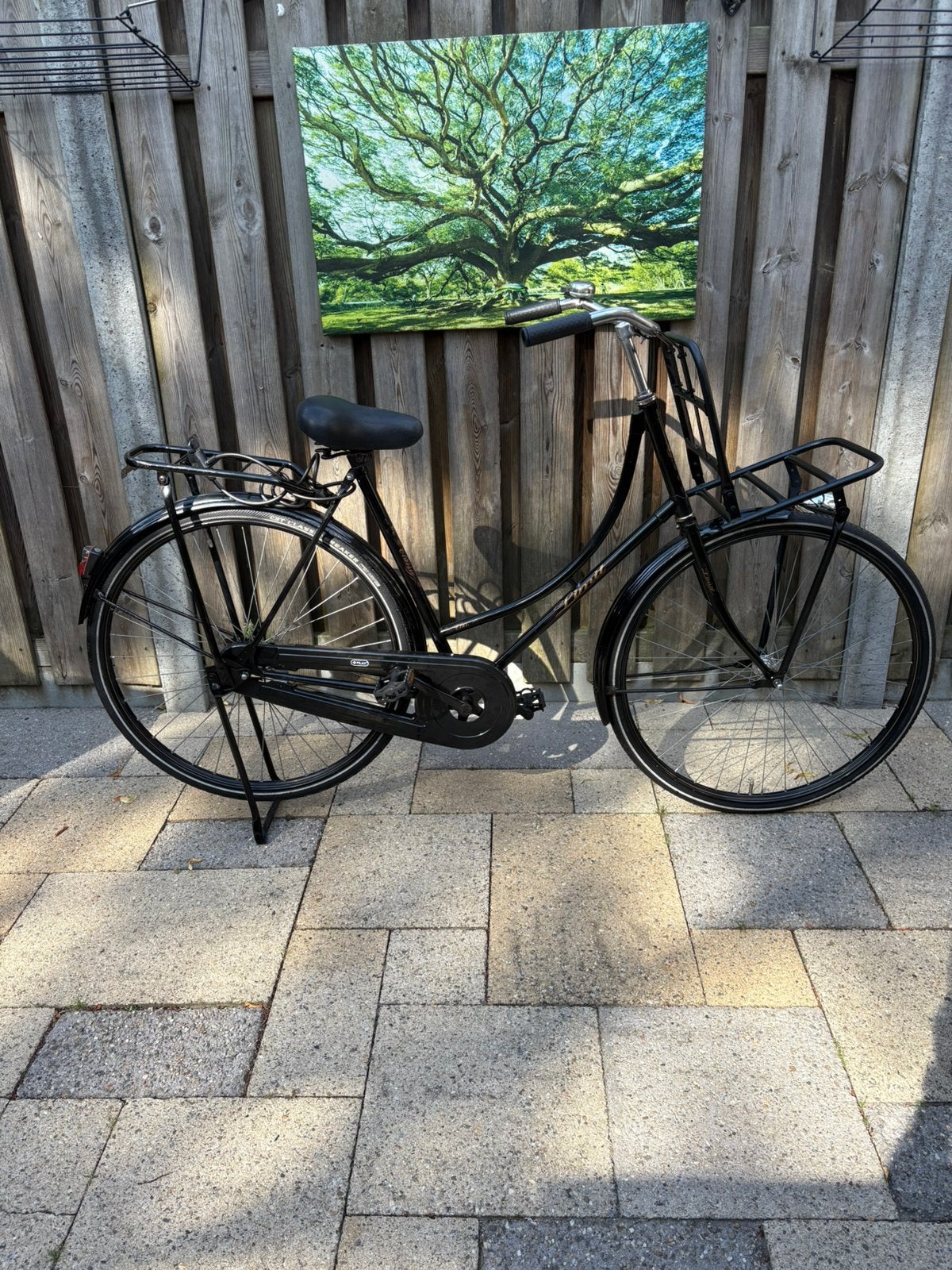 fiets met licht en slot en transport rekje, Fietsen en Brommers, Fietsen | Meisjes, Ophalen, Gebruikt, Terugtraprem, 26 inch of meer
