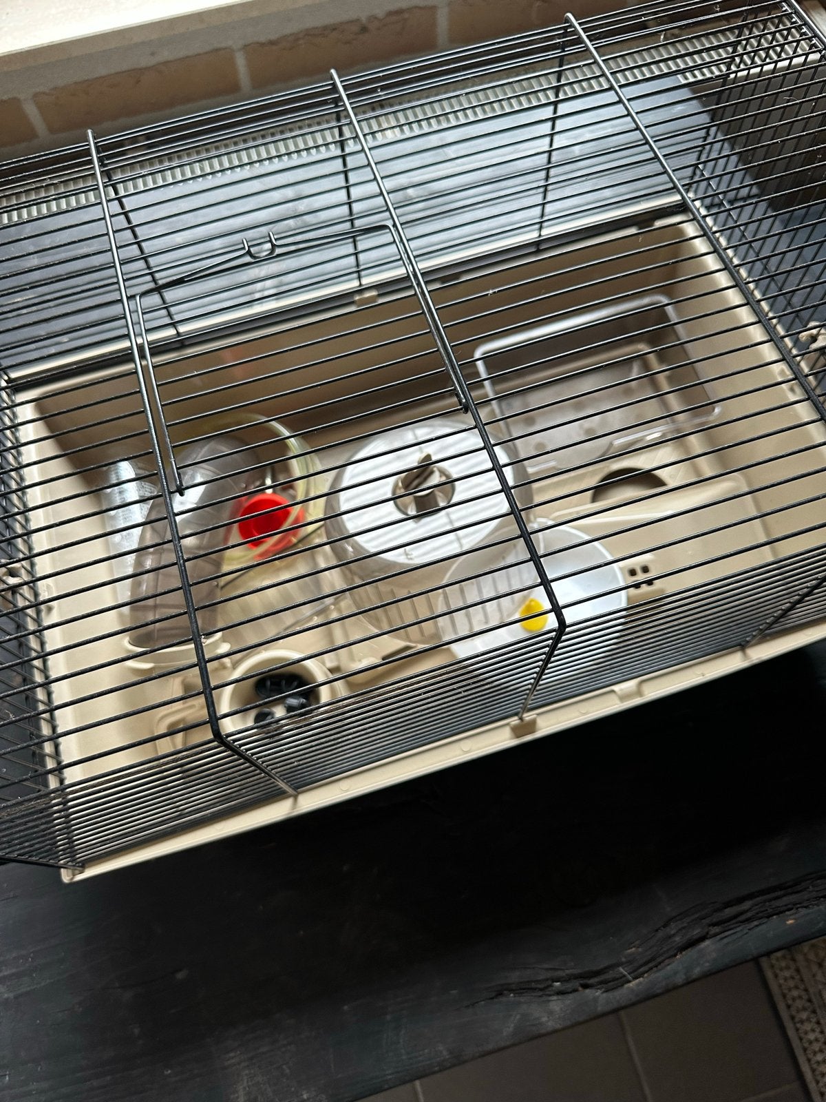 Hamsterkooi knaagdierkooi 50x35 zeer compleet, Ophalen of Verzenden