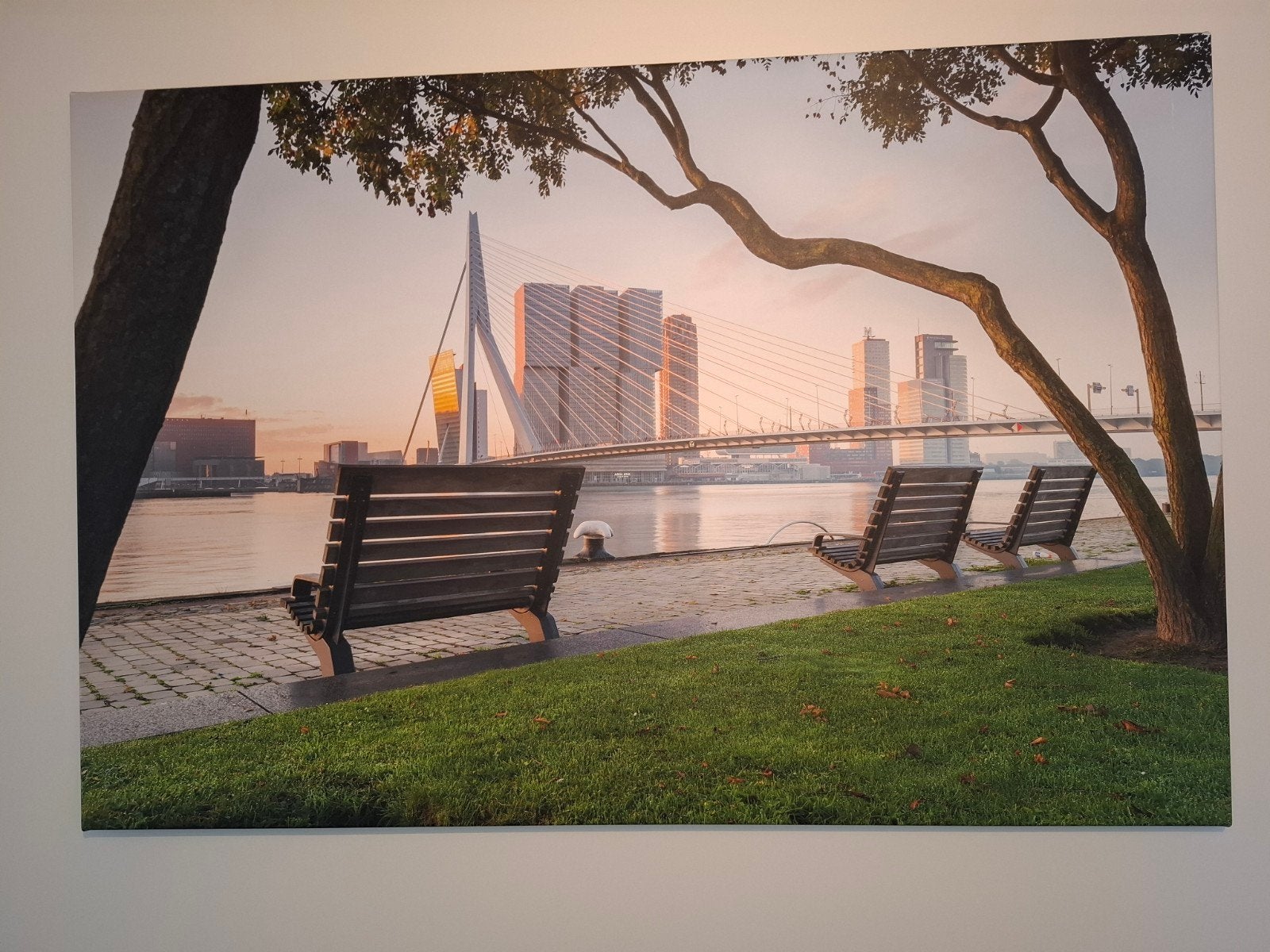 Canvas poster Rotterdam skyline vanaf de Maas., Ophalen, Rechthoekig Liggend, Zo goed als nieuw, Canvas of Doek