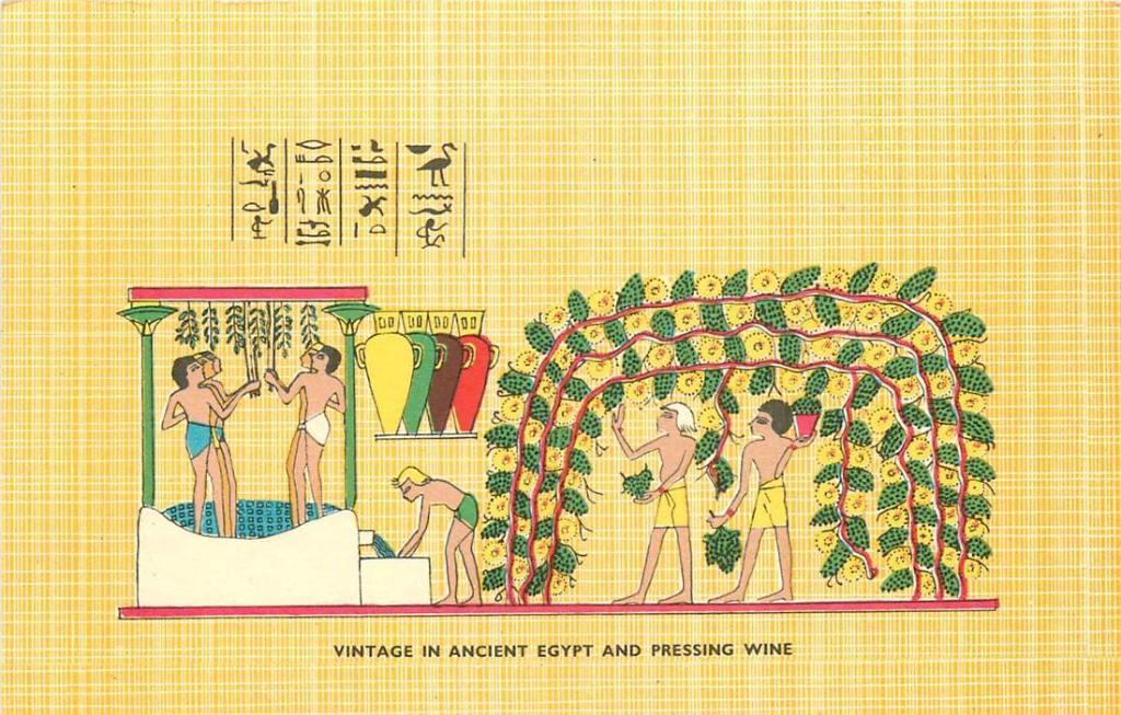 381-209-025 Vintage in Ancient Egypt and Pressing wine, Verzenden, Voor 1920, Overig Europa