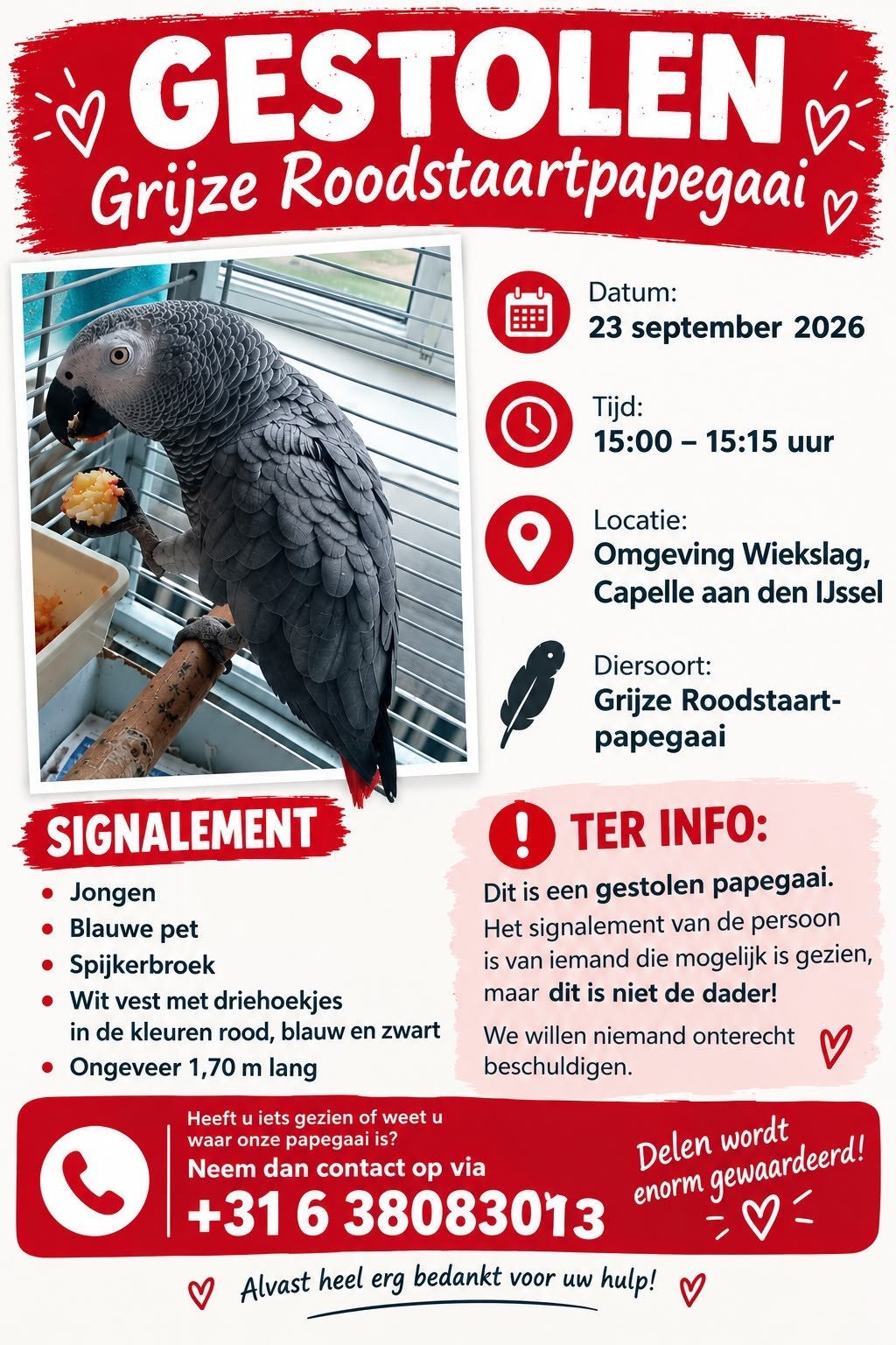 Gestolen grijze roodstaart