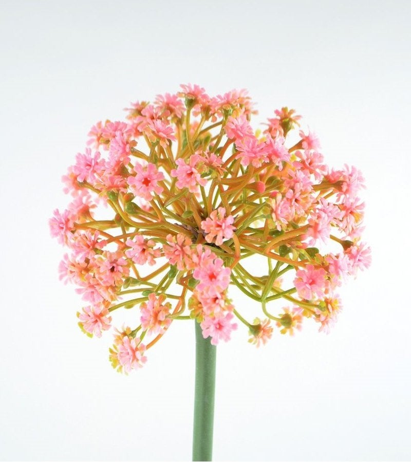 OPRUIMING - ALLIUM - KUNST - WIT & ROZE - VAN 3 EURO NU 1,50, Ophalen of Verzenden, Nieuw