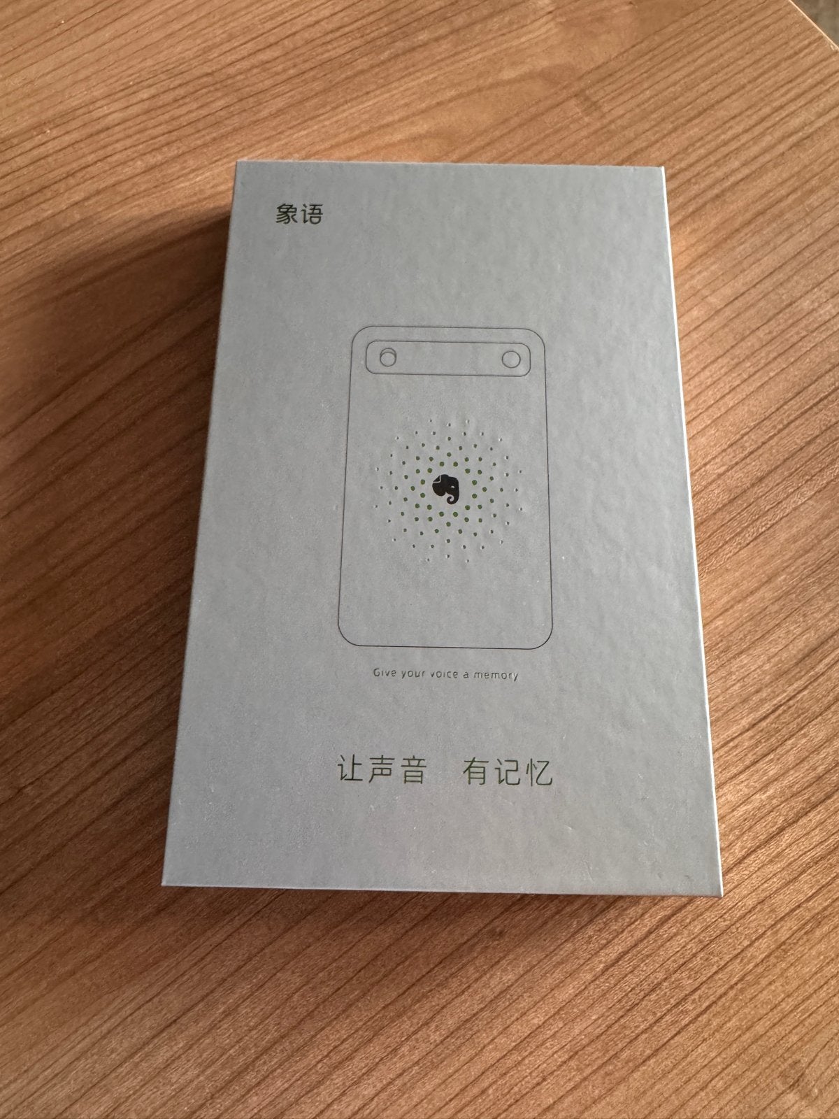 Nieuwe AI Voice Recorder - Compact en Krachtig, Ophalen of Verzenden, Nieuw