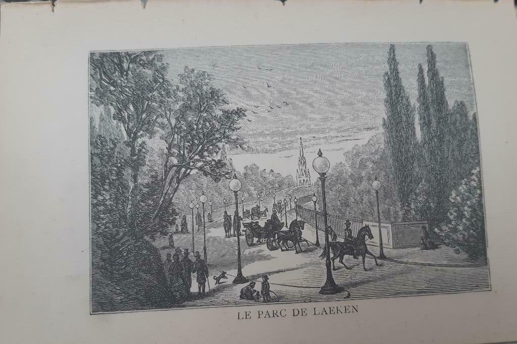 27 / Brussel Le Parc de laeken Houtgravure uit 1892, Antiek en Kunst, Ophalen of Verzenden