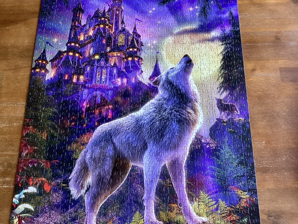 Puzzel Castorland, Ophalen of Verzenden, 500 t/m 1500 stukjes, Zo goed als nieuw
