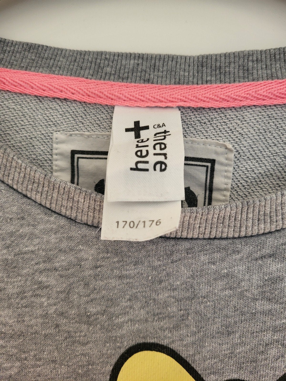 Grijze trui met panda print - C&A Here & There, C&A Here & There, Maat 42/44 (L), Ophalen of Verzenden, Zo goed als nieuw