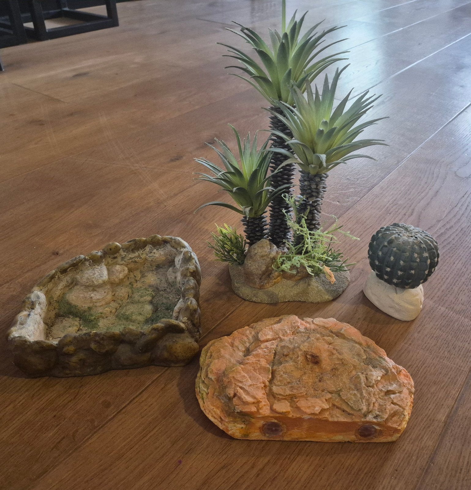 Terrarium decoratie, Ophalen of Verzenden