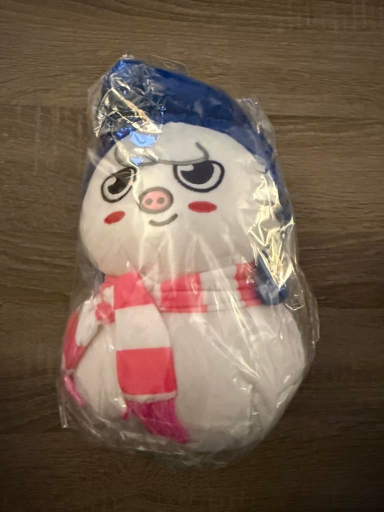 Zeldzame Changbin Stray Kids Dwaekki SKZOO xmas popup Japan, Verzamelen, Muziek, Artiesten en Beroemdheden, Nieuw, Overige typen