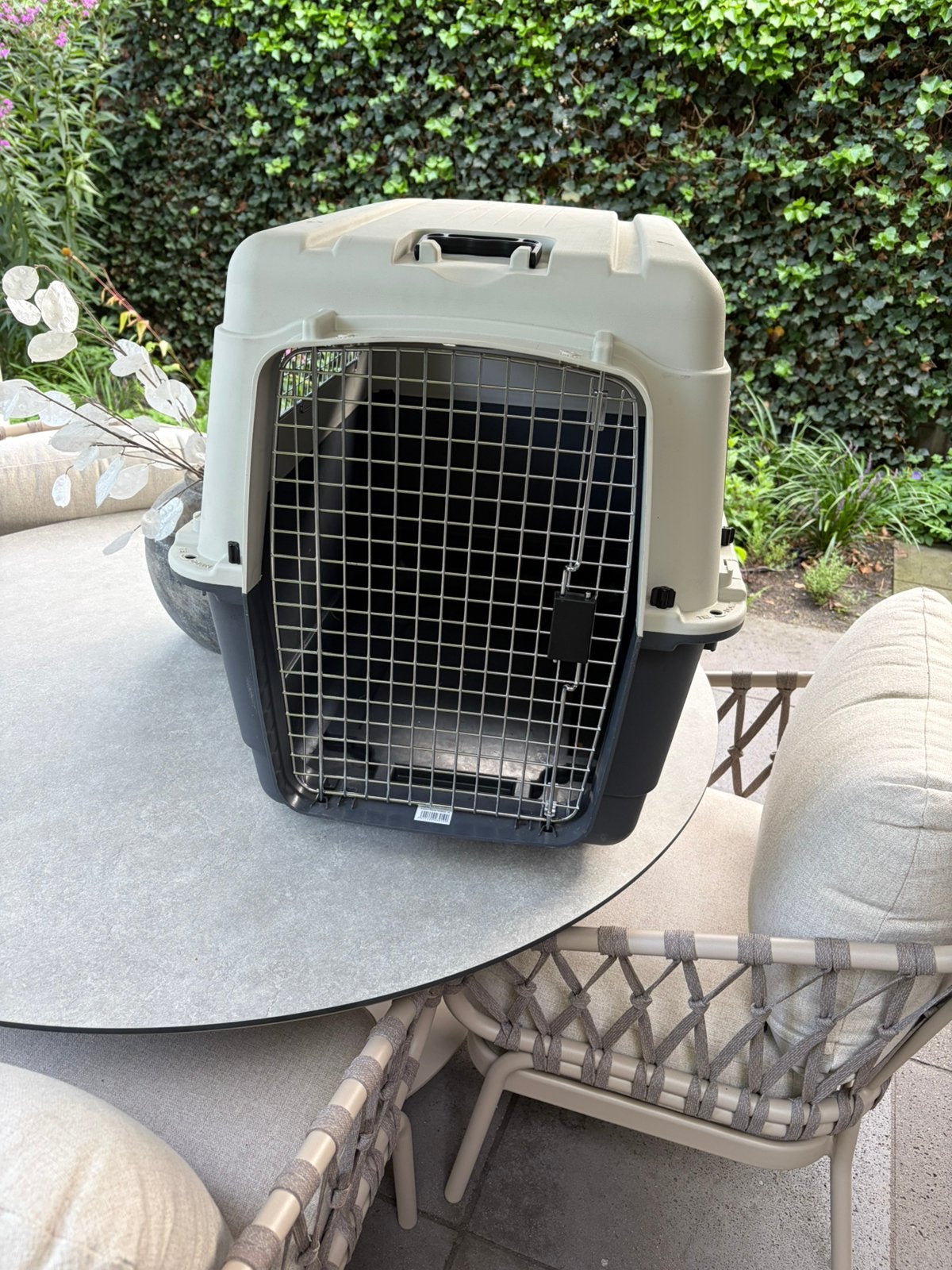 Transportbox XL, Dieren en Toebehoren, Ophalen, Zo goed als nieuw