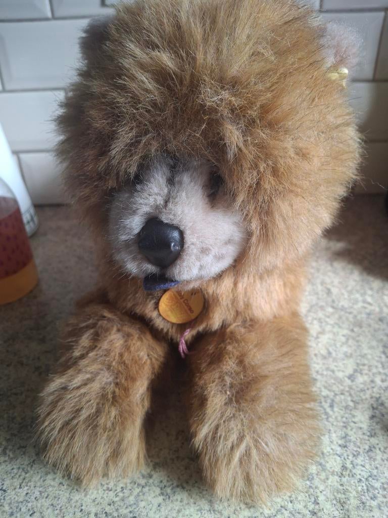 Steiff Molly Corso, Antiek en Kunst, Ophalen of Verzenden