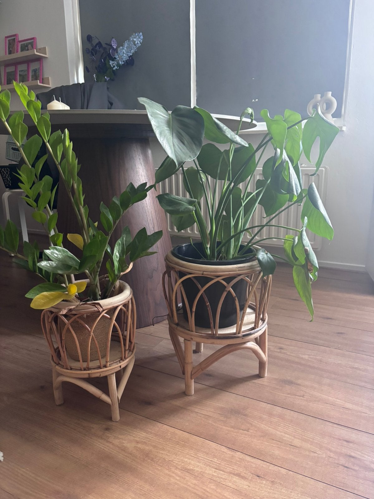 Leuke set kamerplanten met bamboe - houten pot/ bak, Ophalen, Zo goed als nieuw, Rond, Hout