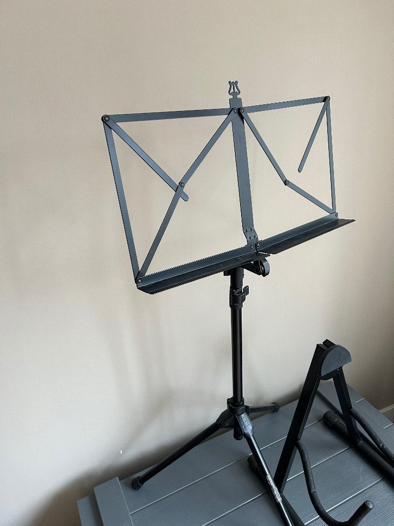 Gitaar standaard en bladmuziek standaard, Ophalen, Gebruikt, Gitaar