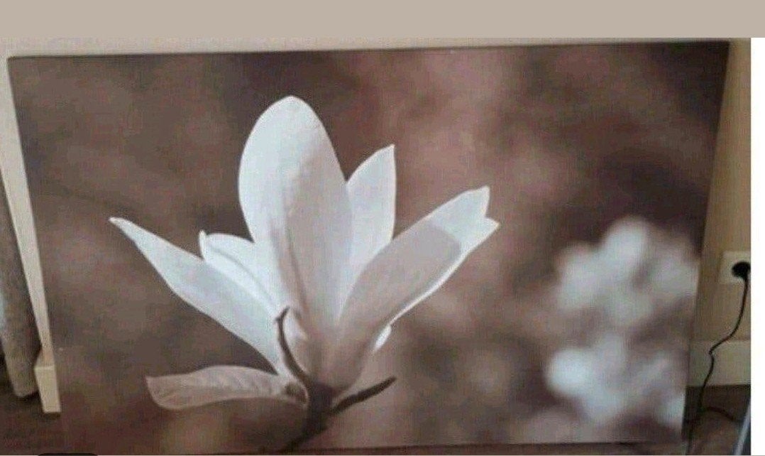 mooi canvas schilderij, Huis en Inrichting, Woonaccessoires | Schilderijen, Tekeningen en Foto's, Ophalen of Verzenden, Zo goed als nieuw