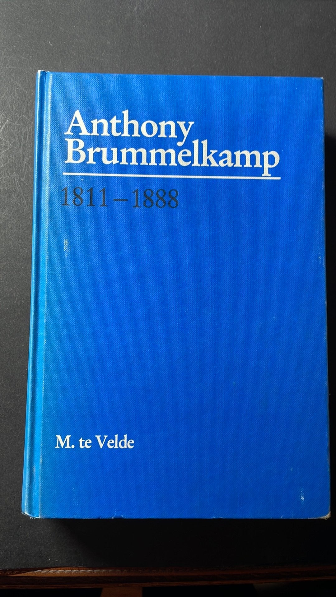 Anthony Brummelkamp, Ophalen of Verzenden, Zo goed als nieuw
