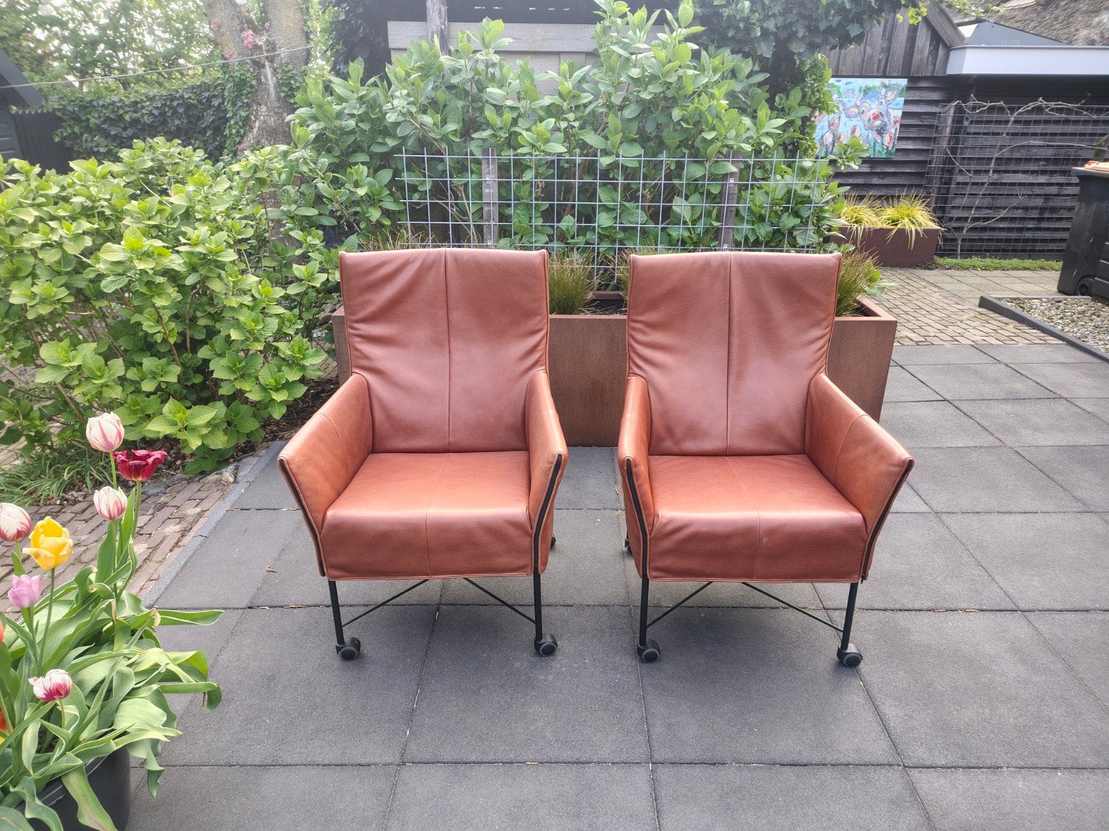 Montis Charly (2), Ophalen, 75 tot 100 cm, 50 tot 75 cm