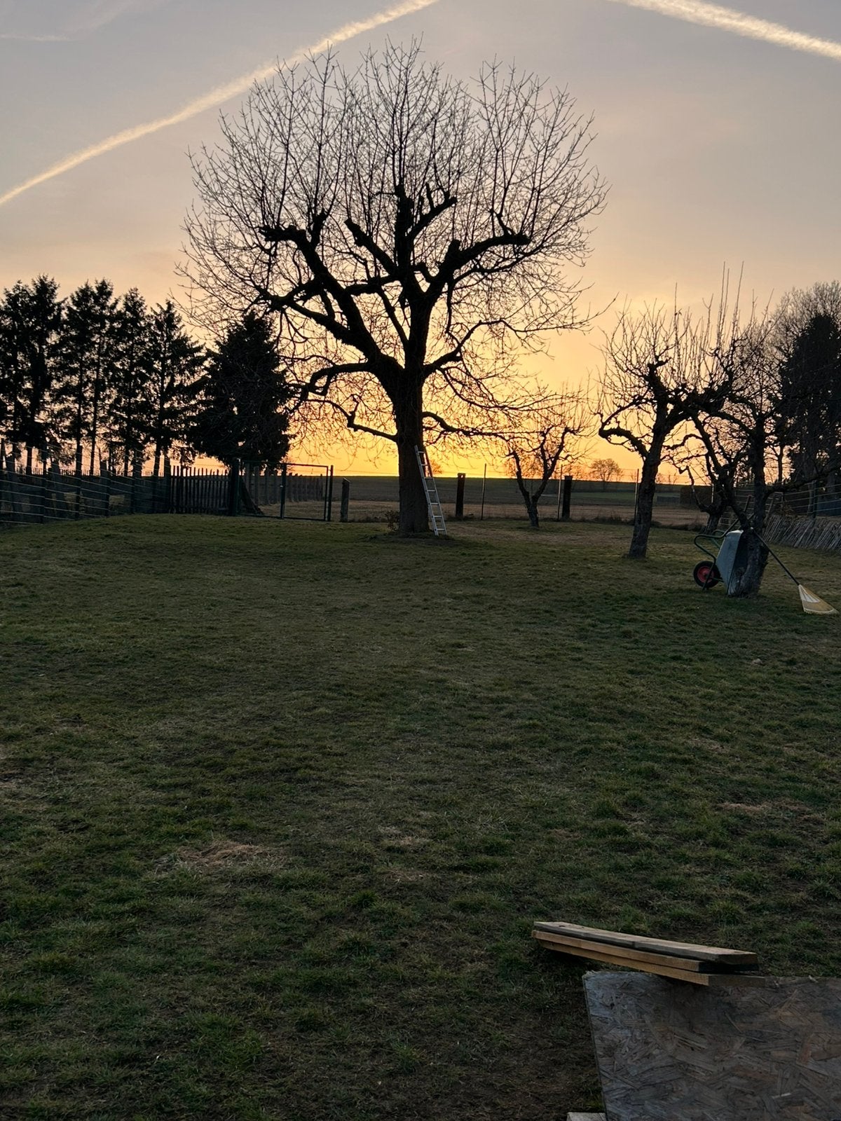 Boerderij met 5.400 m² grond, Duitsland, Landelijk