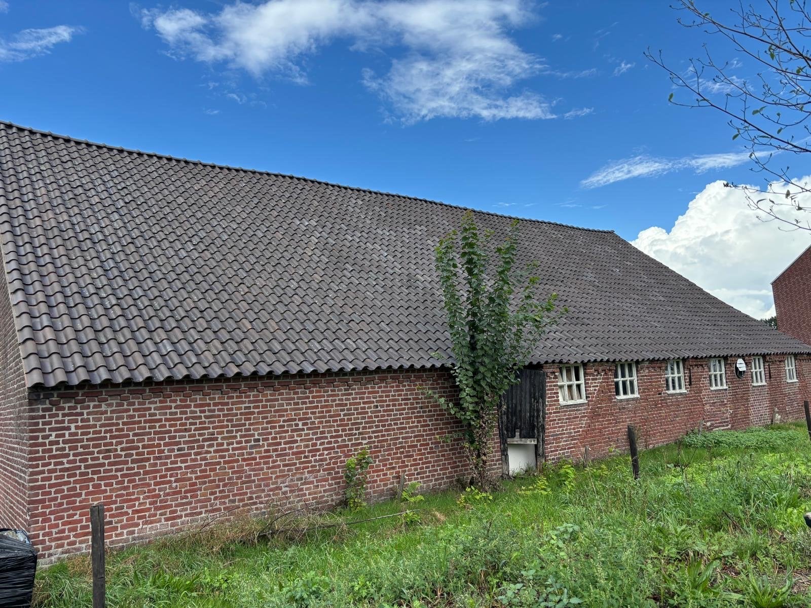 Gebruikte dakpannen circa 2500 stuks, Doe-het-zelf en Verbouw, Gebruikt, Steen of Klei, Ophalen of Verzenden, 15 m² of meer