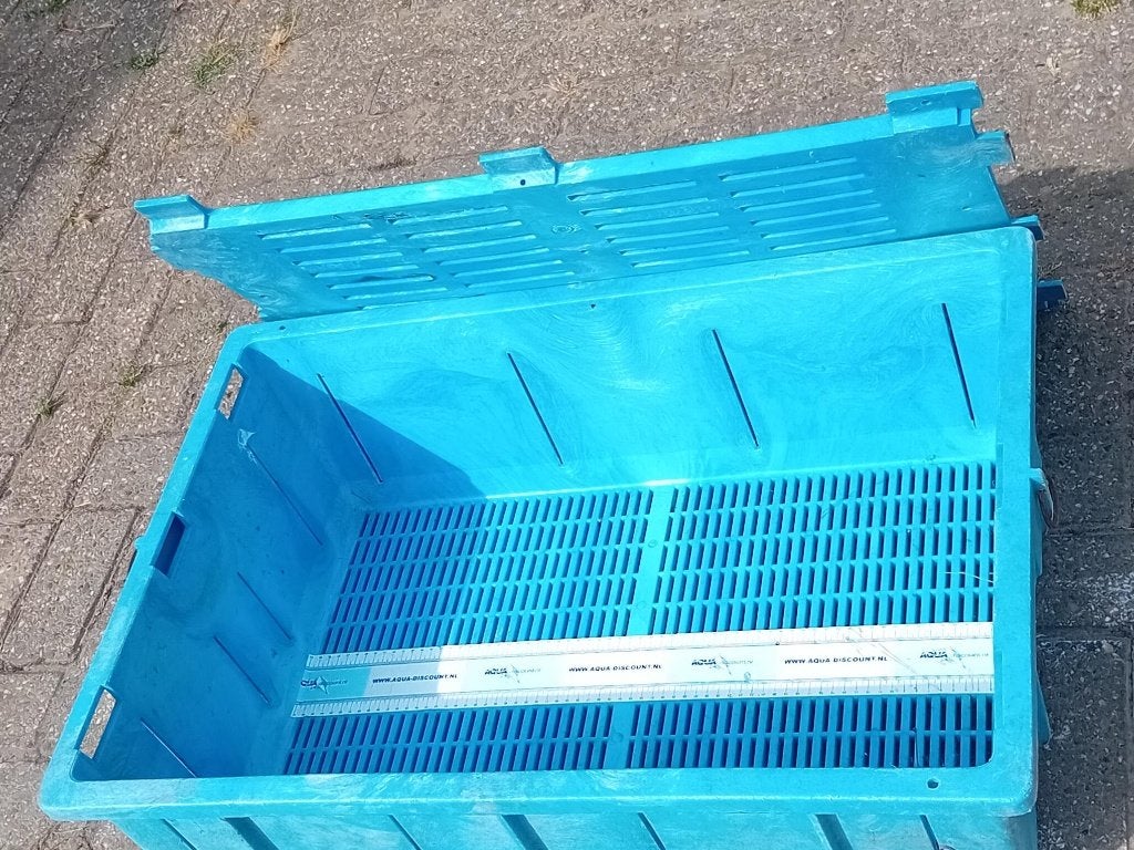 Te koop drijvende koi basket.  ., Karper of Koi
