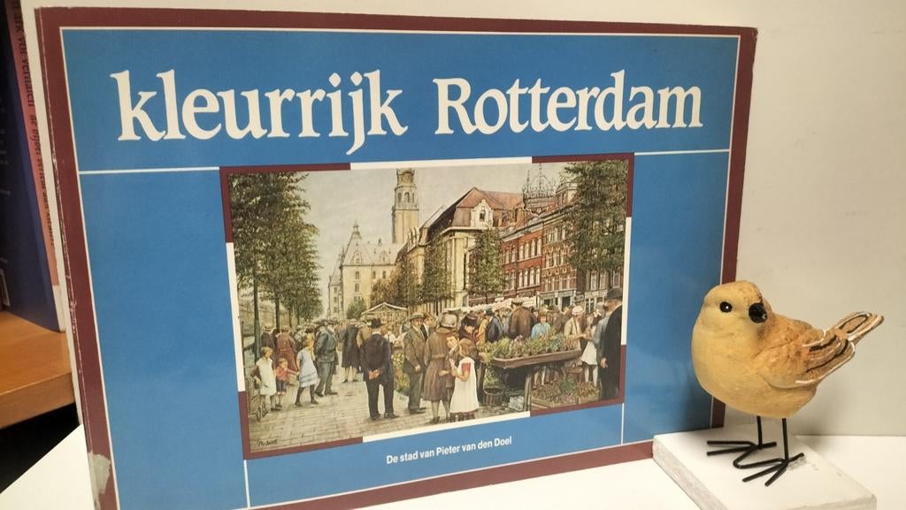 Doel, Pieter van den; Kleurrijk Rotterdam deel 1, Ophalen of Verzenden, Gelezen