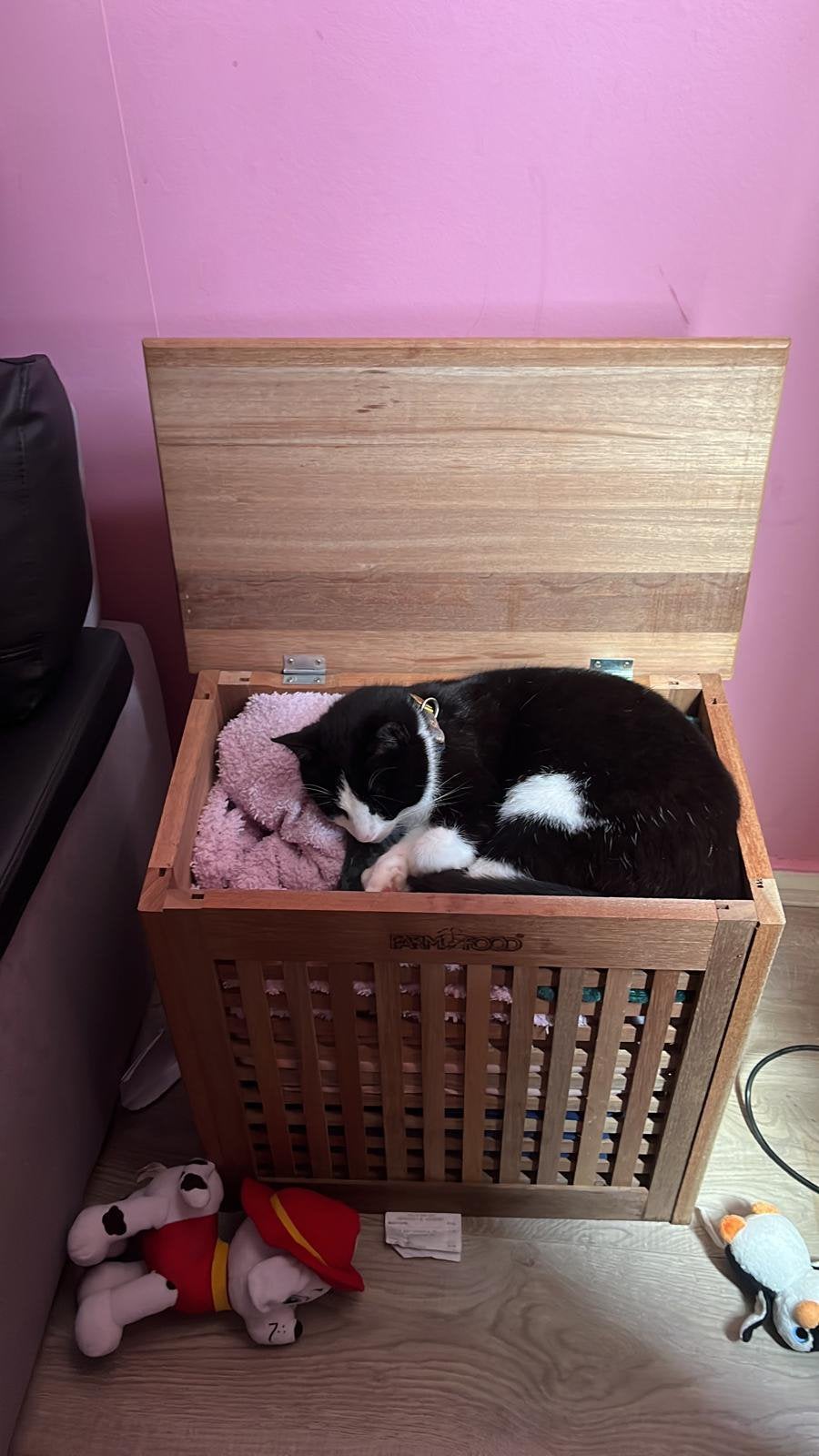 Katers, Kater
