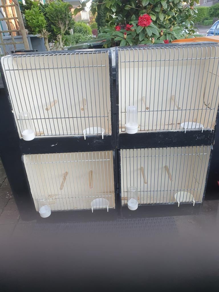 Vervoerkisje, Dieren en Toebehoren, Vogels | Hokken en Kooien, Ophalen, Hout, Vogelkooi