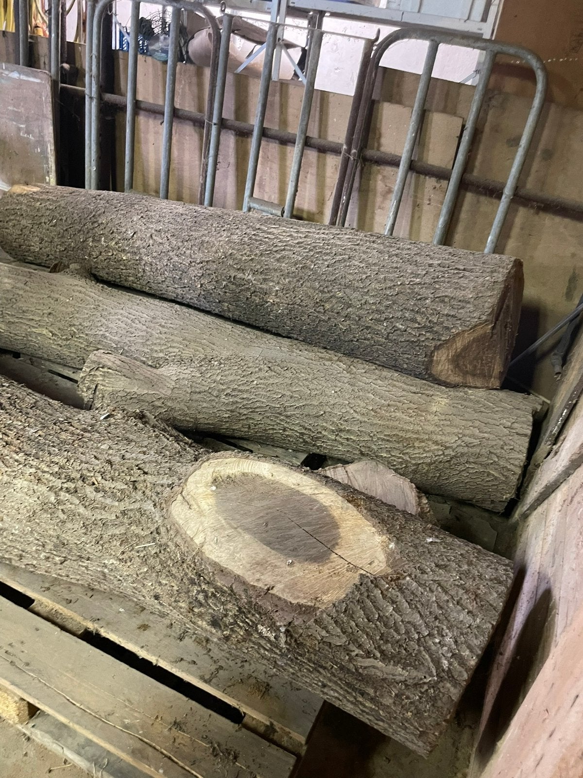Eiken boom stammen, Tuin en Terras, 3 tot 6 m³, Ophalen, Eikenhout, Stammen
