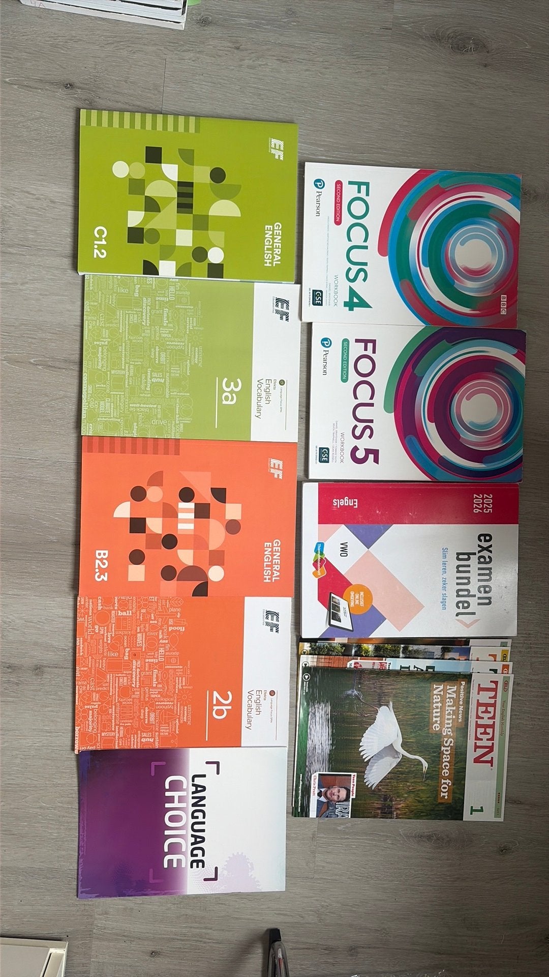 Focus engels vwo 4 5 examenbundel 25/26 + EF cource boeken, Ophalen of Verzenden, Gelezen, Non-fictie