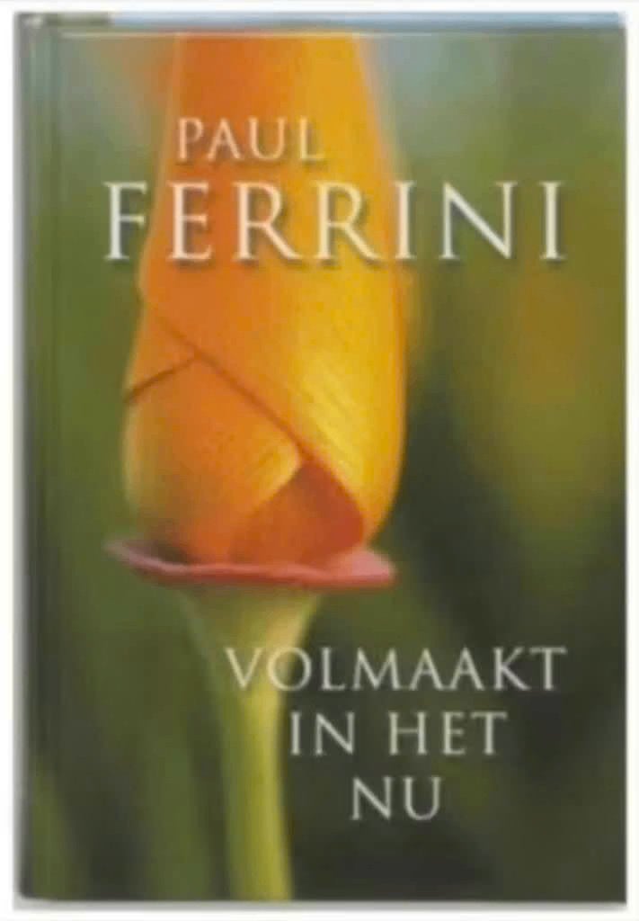 Volmaakt in het nu (Paul Ferrini), Ophalen of Verzenden, Zo goed als nieuw