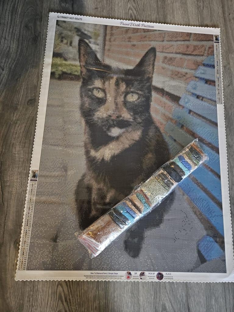 Diamond painting, Hobby en Vrije tijd, Overige Hobby en Vrije tijd, Ophalen of Verzenden, Nieuw