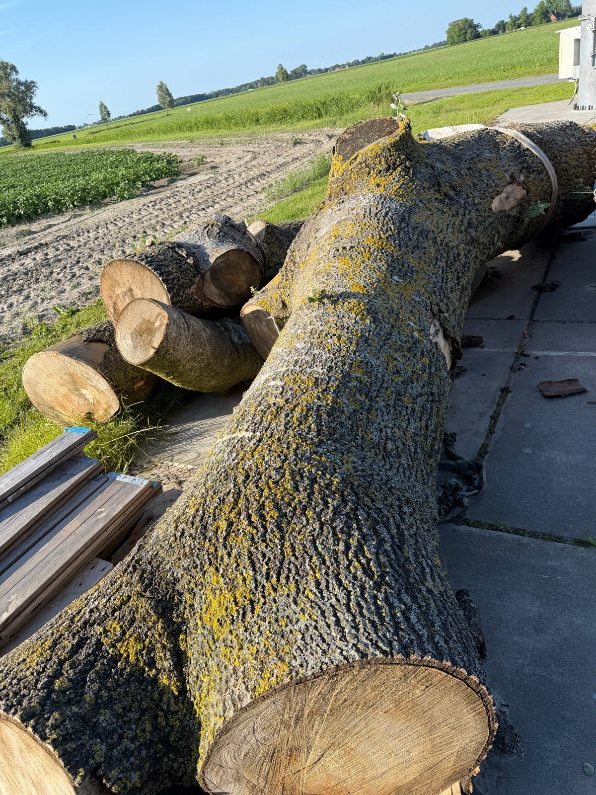 Brandhout boomstammen voor de houtkachel, 6 m³ of meer, Ophalen of Verzenden, Overige houtsoorten, Stammen