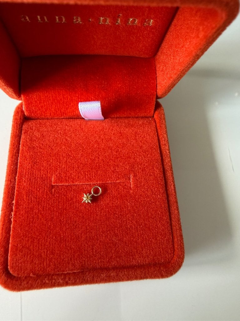 Anna nina oorbel hanger goud, Hangers, Verzenden, Nieuw, Goud