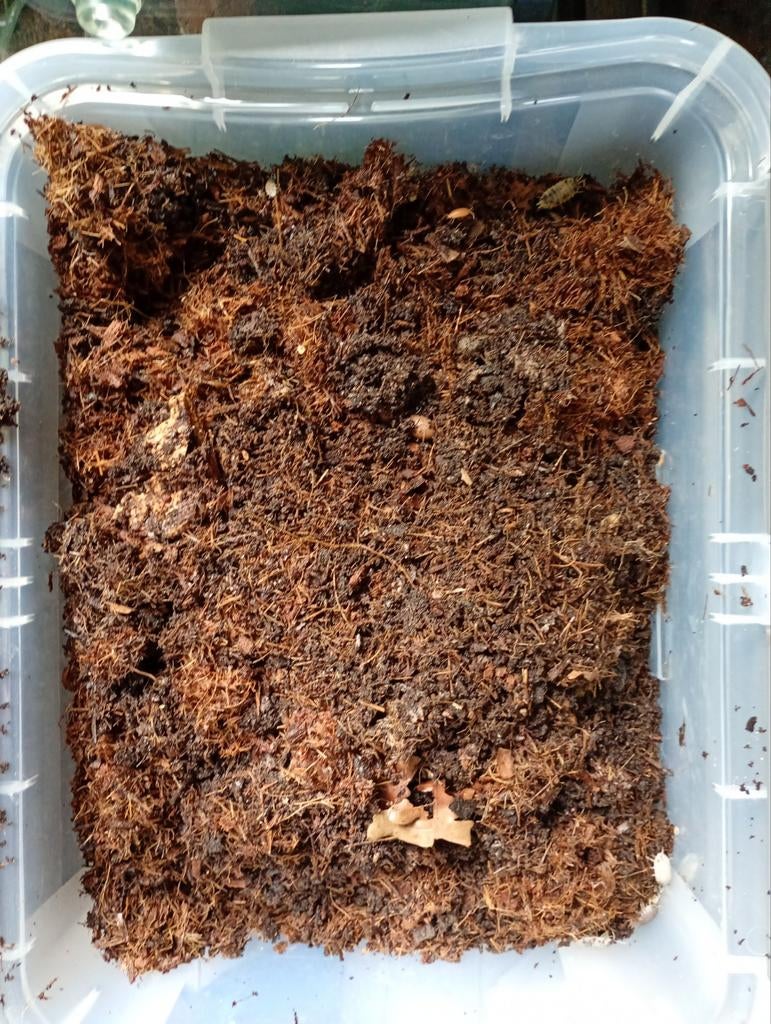 Super bioactieve grond voor terrarium, Dieren en Toebehoren, Overige soorten