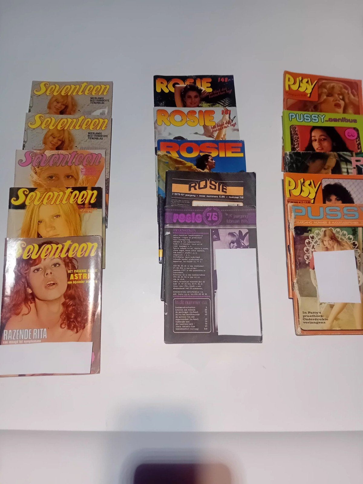 Seventeen  rosie en pussy, Boeken, Ophalen of Verzenden, Gelezen