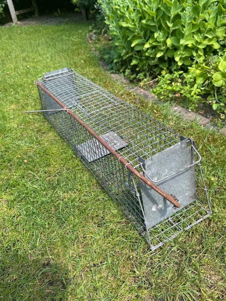 Vangkooi, Ophalen of Verzenden, Gebruikt, Ongediertebestrijding