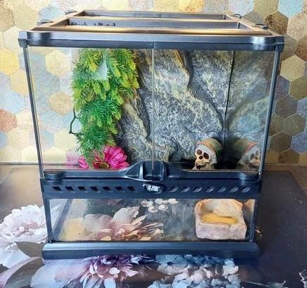 Exo Terra 30x30x30cm in zeer goede staat., Dieren en Toebehoren, Reptielen en Amfibieën | Toebehoren, Ophalen, Gebruikt, Terrarium of Paludarium