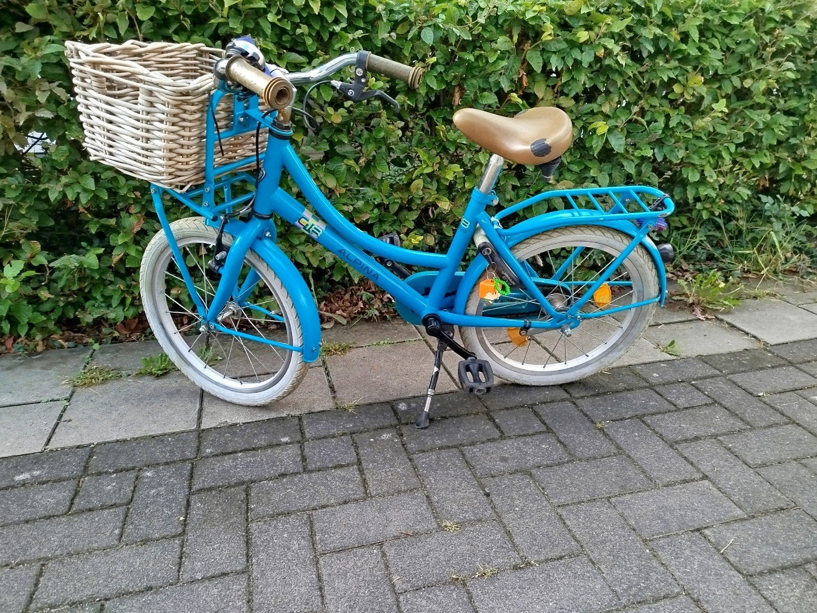 Alpina kinderfiets 18 inch met mandje en bagagedrager, Ophalen, Terugtraprem, Alpina, 16 tot 20 inch